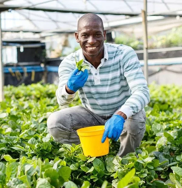 Farmers Registration Certificate Renewal Farmers Registration Certificate Renewal