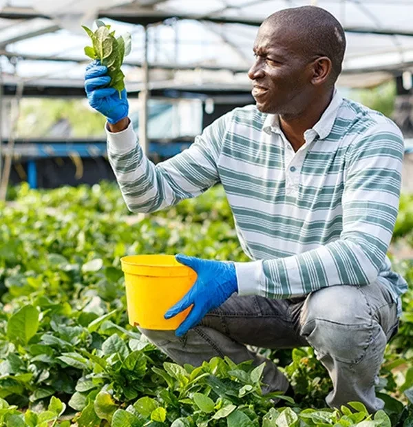 Farmers Registration Certificate New Farmers Registration Certificate New